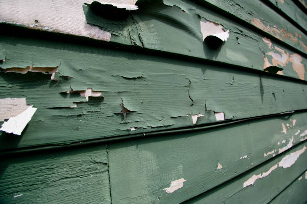 Trusted Lake Hamilton, FL Junk Removal Experts