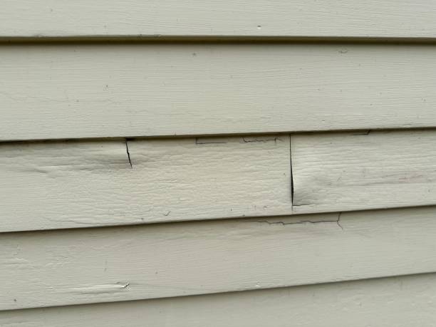 Best Construction Debris Removal  in Lake Hamilton, FL